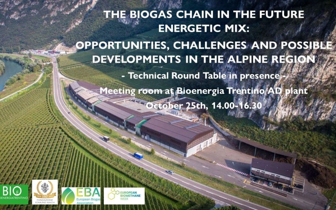 The biogas chain in the future energetic mix: opportunities, challenges and possible developments in the alpine region